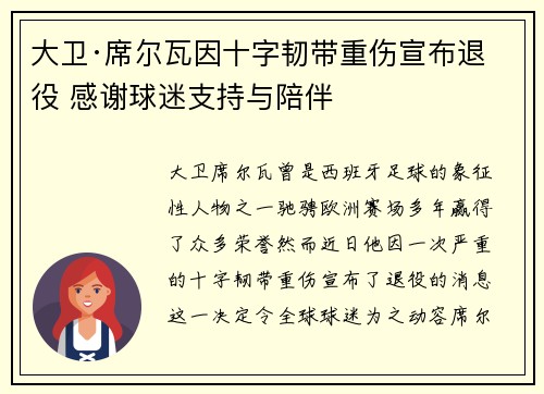 大卫·席尔瓦因十字韧带重伤宣布退役 感谢球迷支持与陪伴